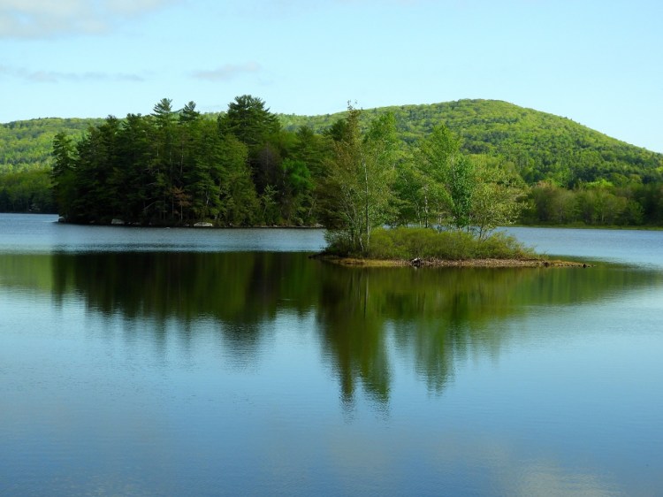 A view of the 400-acre Flying Pond in Vienna from the boat launch. 