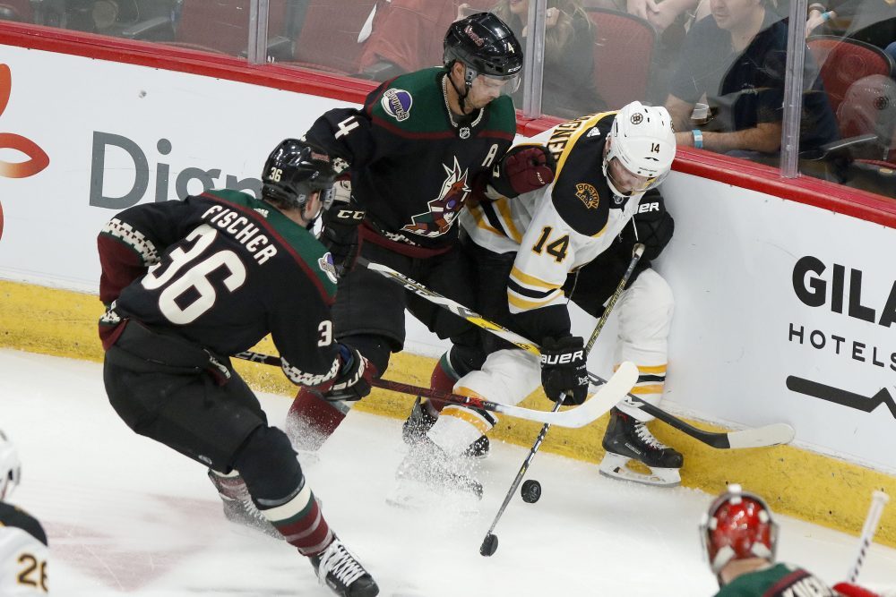 Bruins_Coyotes_Hockey_19912