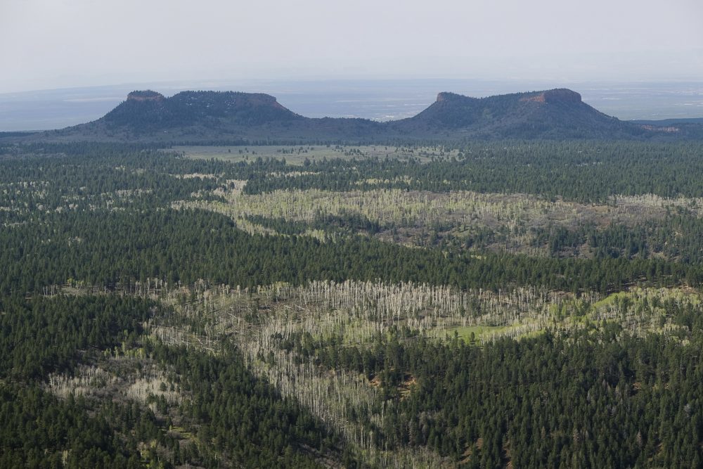 Trump_National_Monuments_47790