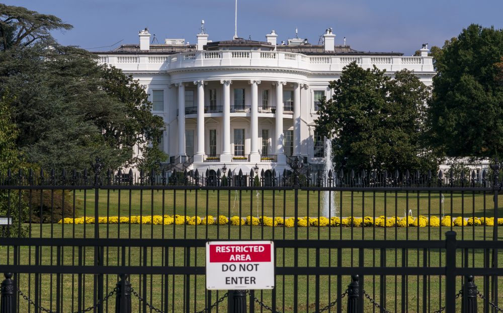 White_House_Mouse_81509