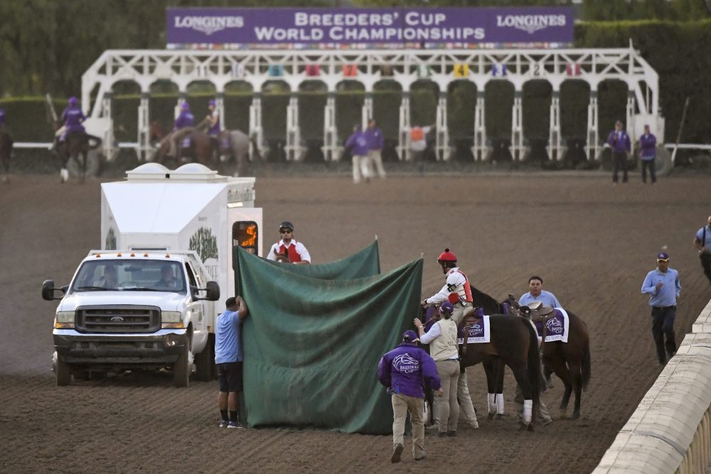 Breeders_Cup_Classic_Horse_Racing_24487