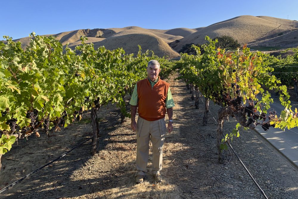 Trade_War_Reaches_Wine_Country_02433