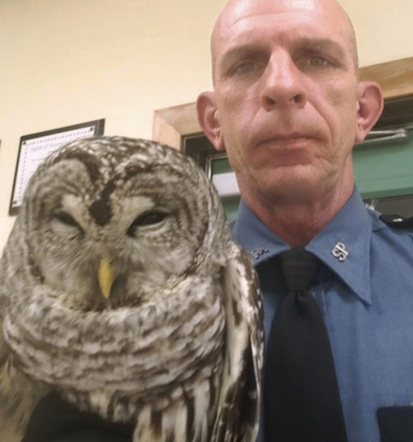 Trooper_Rescues_Owl_80908