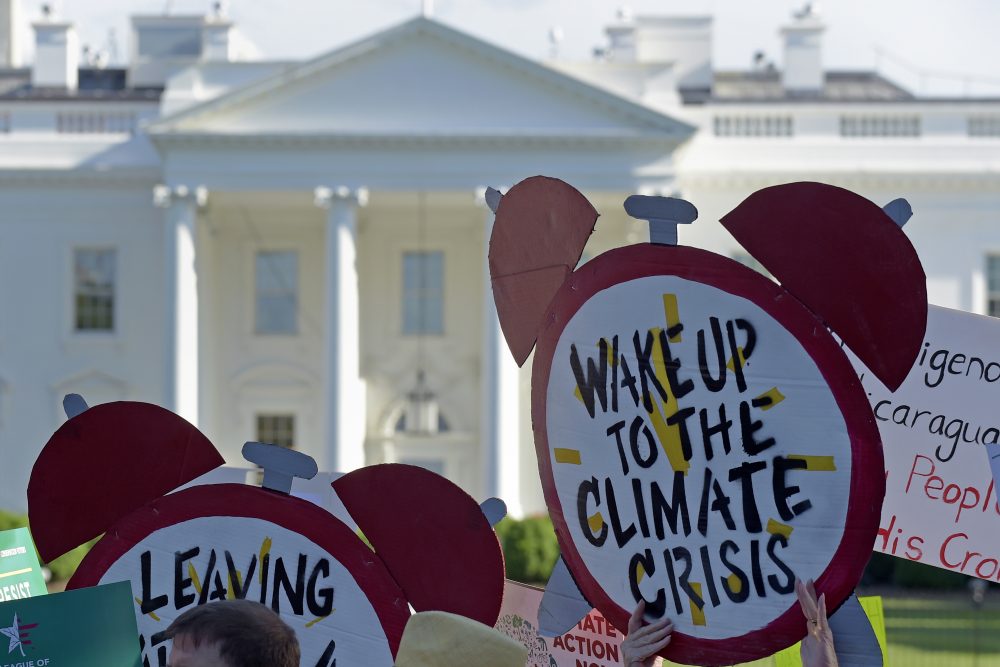 Climate Protesters