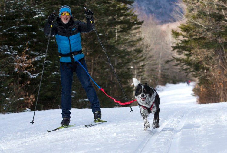 Jack Steffen, an avid skier and dog sled musher, demonstrates how to skijor at the Jackson Ski Touring Center in Jackson, New Hampshire. The center rents skijoring equipment for cross-country skiers (and their four-legged friends) to try.  