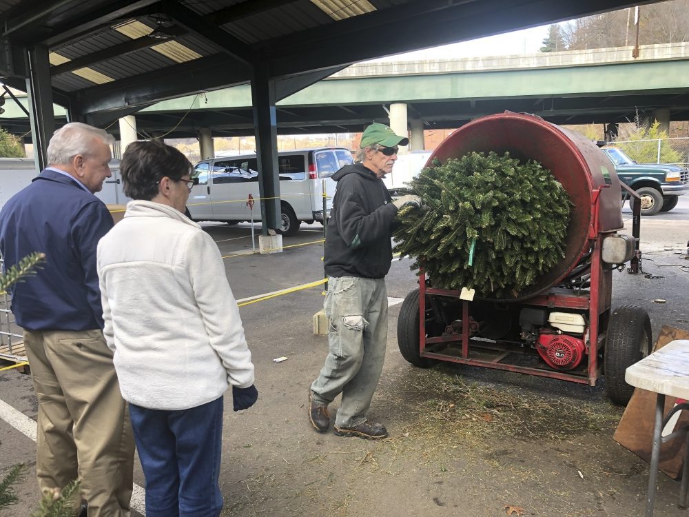 Christmas_Trees-Tight_Supply_87428