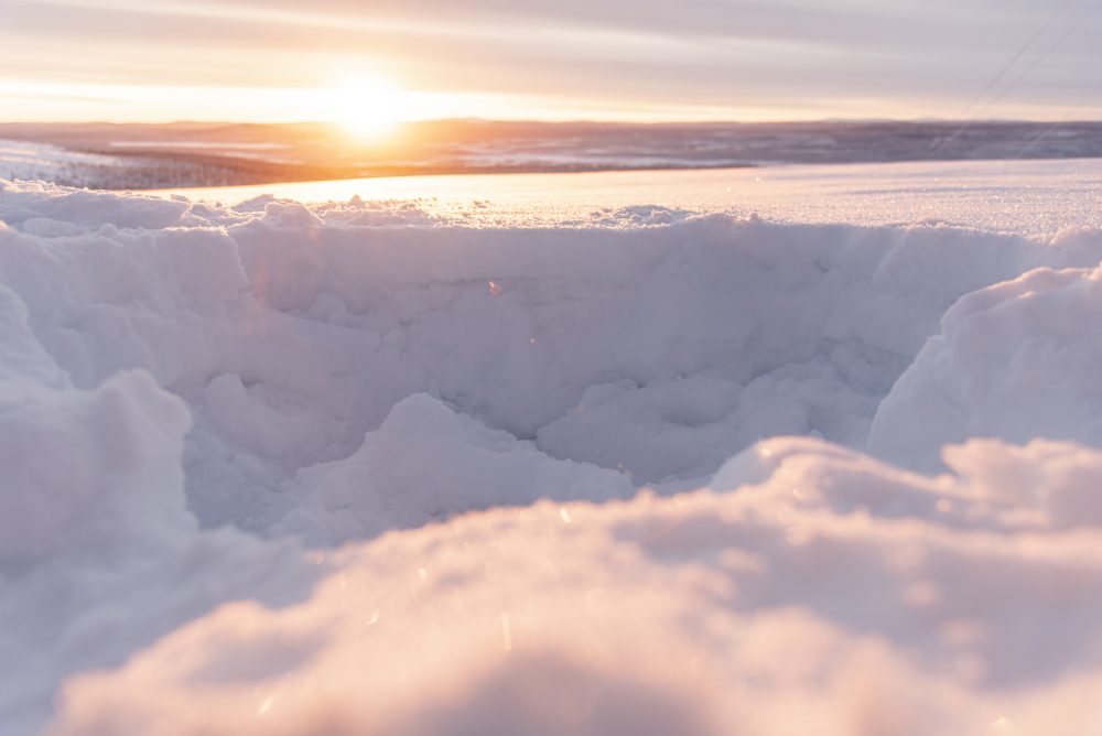 Climate_Arctic_Reindeer_78346