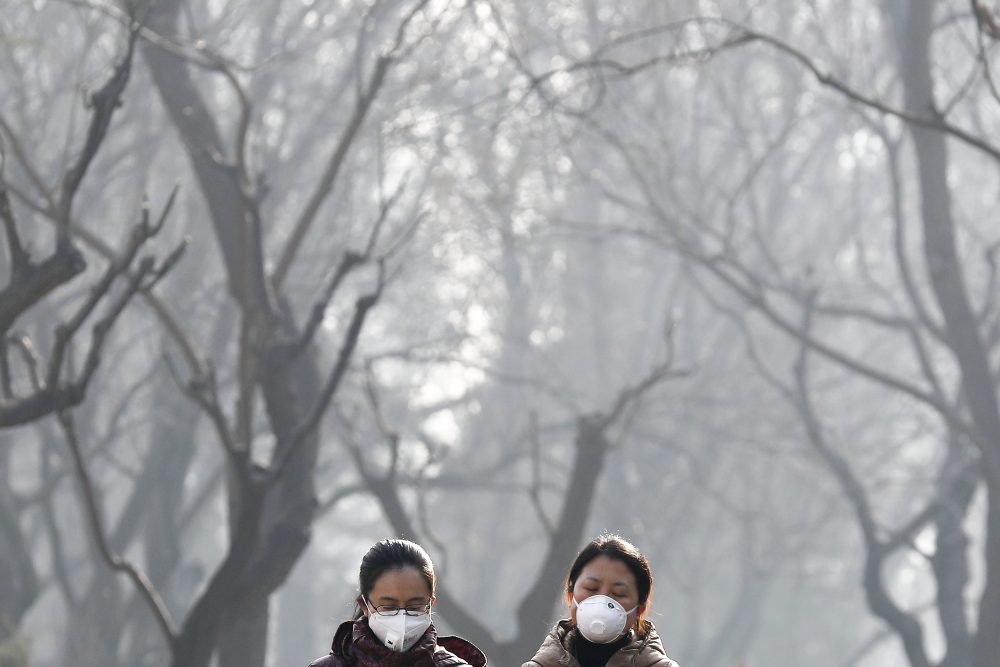 Climate_Talks_28508