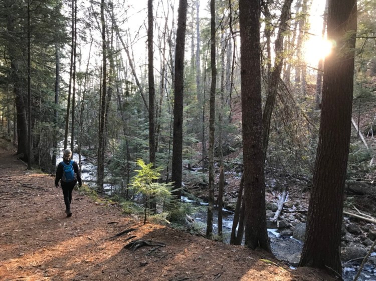 A hiker walks along the Peters Brook Trail in Blue Hill, part of the Blue Heritage Trust's extensive trail system.