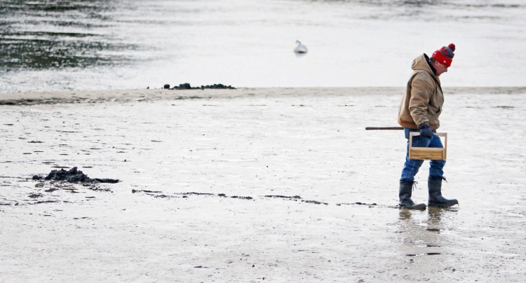 A clammer leaves a mud flat along the York River near the Wiggley Bridge in 2016. More than 30 miles of the York River and its tributaries are eligible and suitable for designation as a Wild and Scenic River, a new report concludes. 