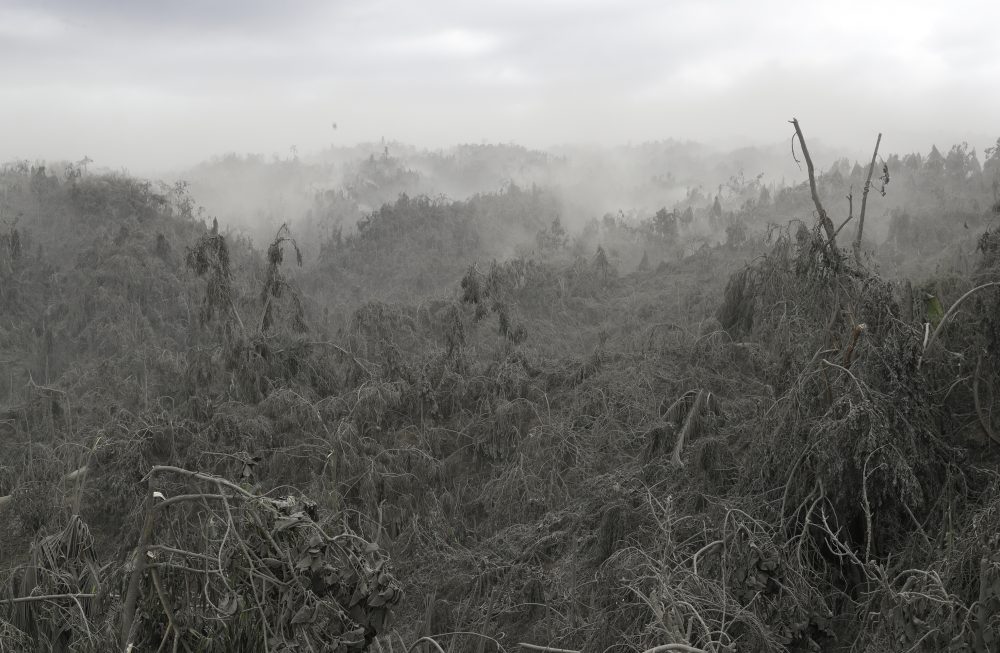 APTOPIX_Philippines_Volcano_74579