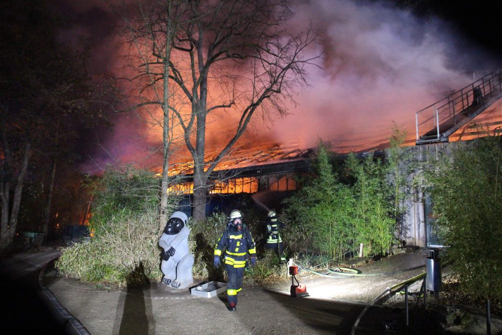 Germany_Zoo_Fire_35073