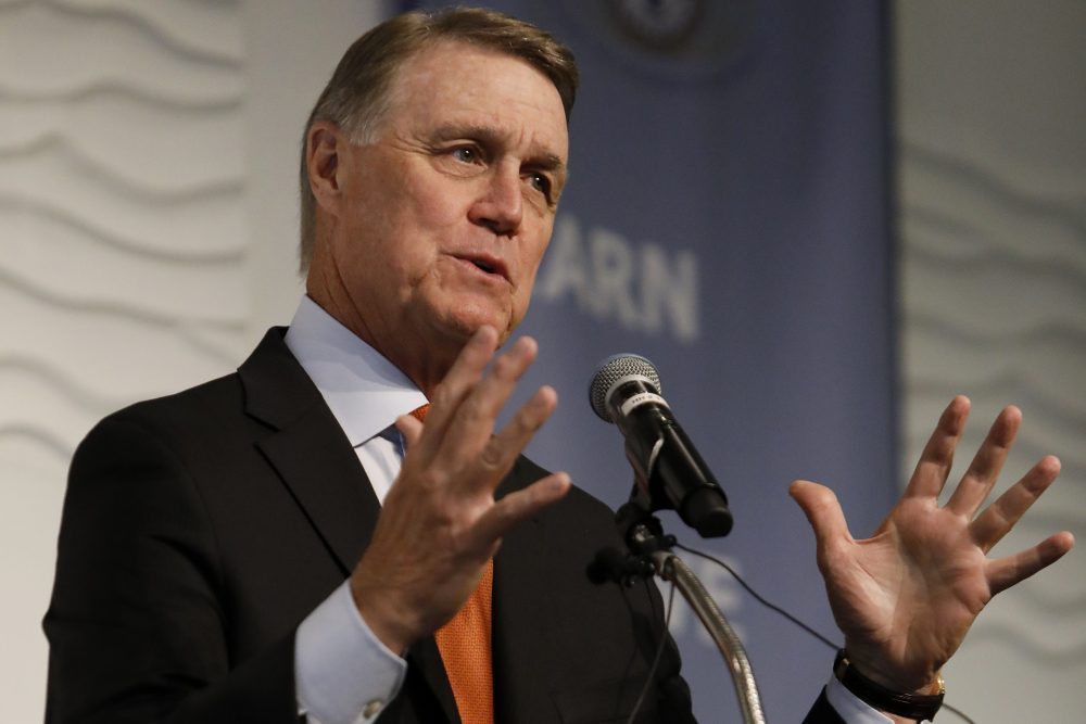 David Perdue