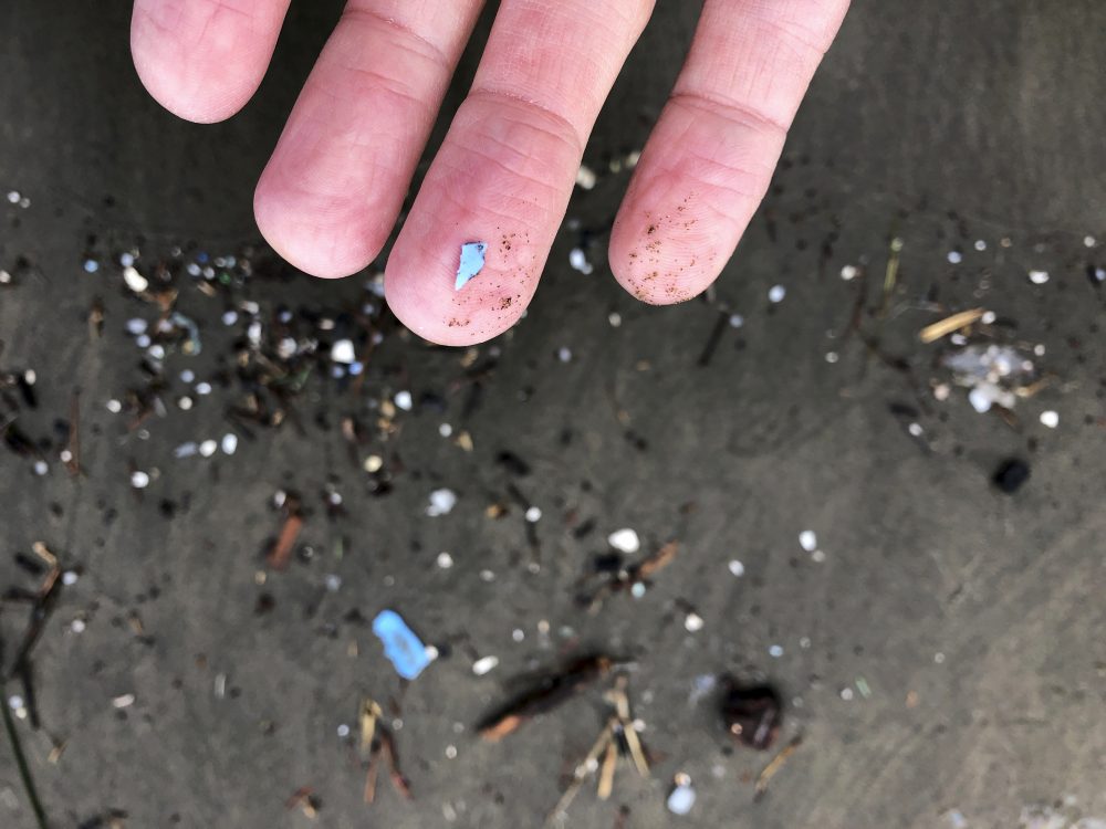 Microplastics_Risk_10517