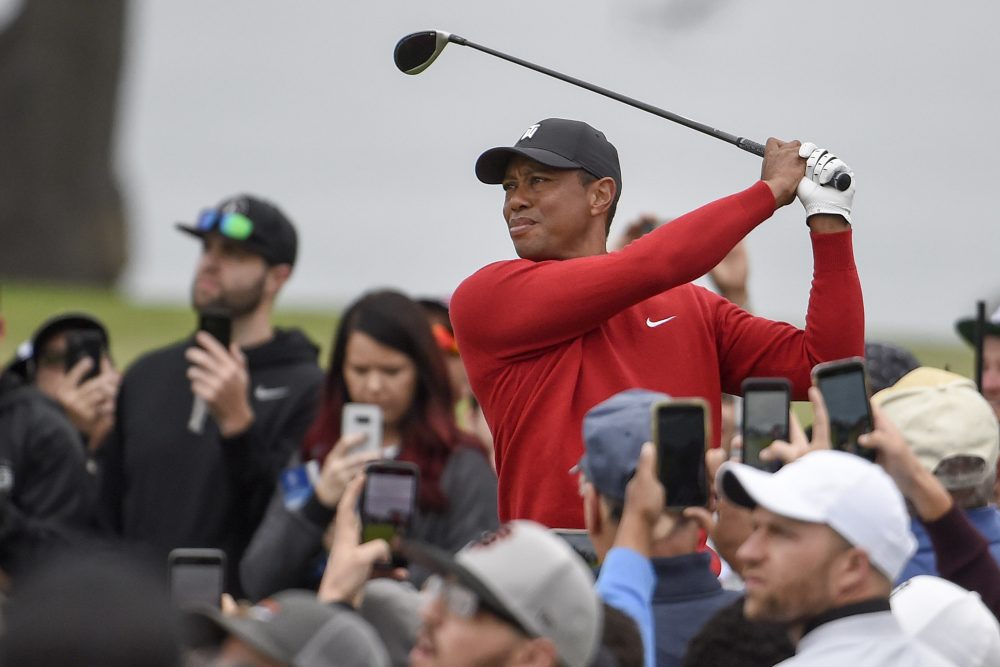 On_The_Fringe_Tiger_Golf_63036