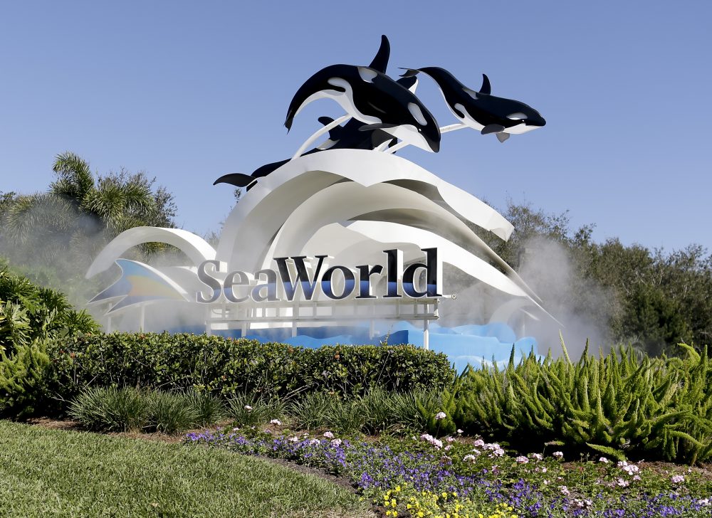 SeaWorld_Lawsuit_90885
