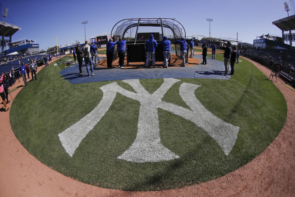 Blue_Jays_Yankees_Baseball_17936