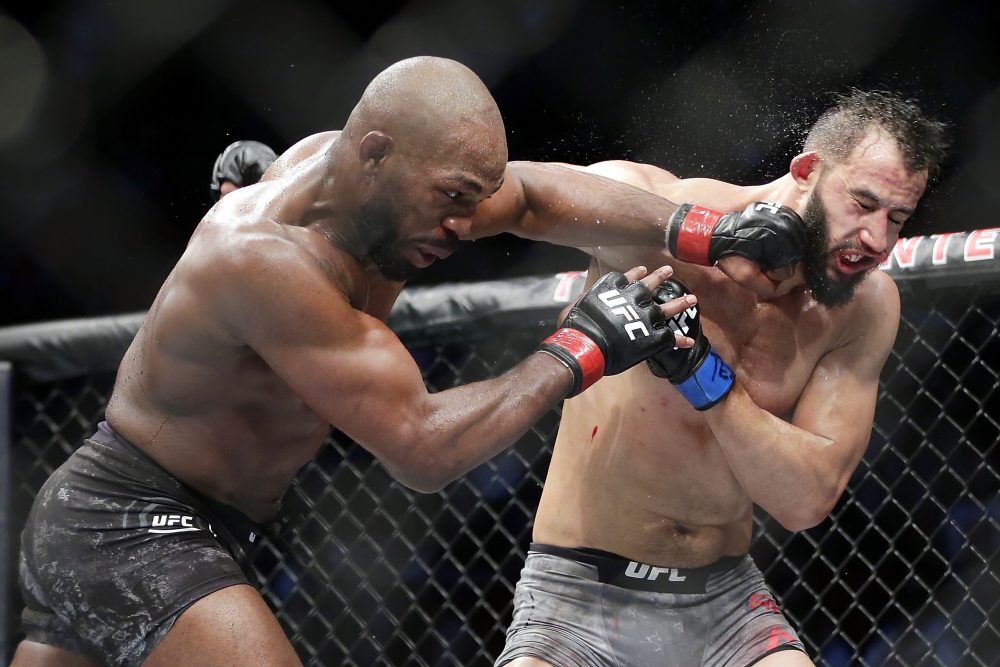 UFC_247_Mixed_Martial_Arts_08448