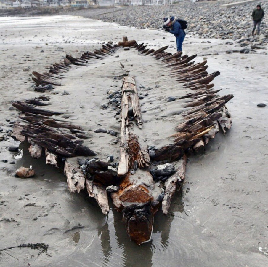 New_England_Shipwreck_05135