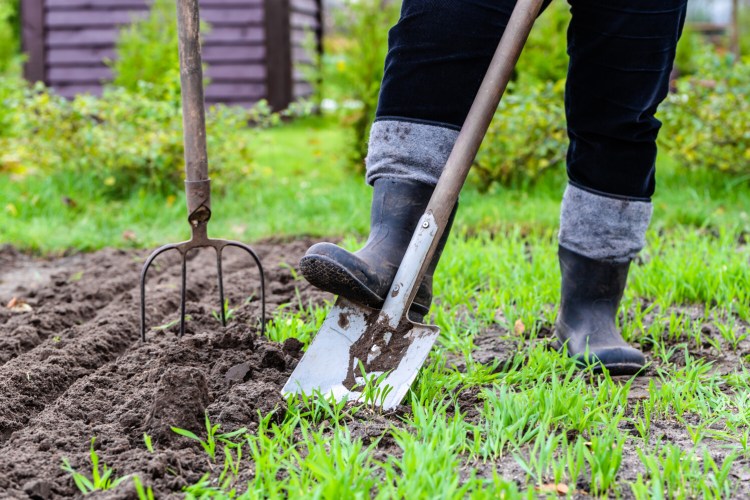 All your normal spring activities cancelled because of the pandemic? Try gardening. But start slow!