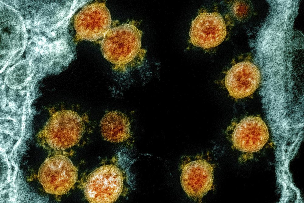 Virus_Outbreak_Cancer_Patients_41842