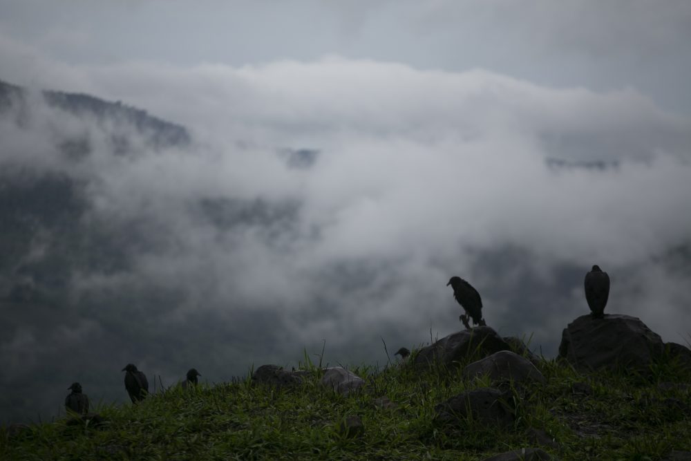 Guatemala_Tropical_Weather_15323