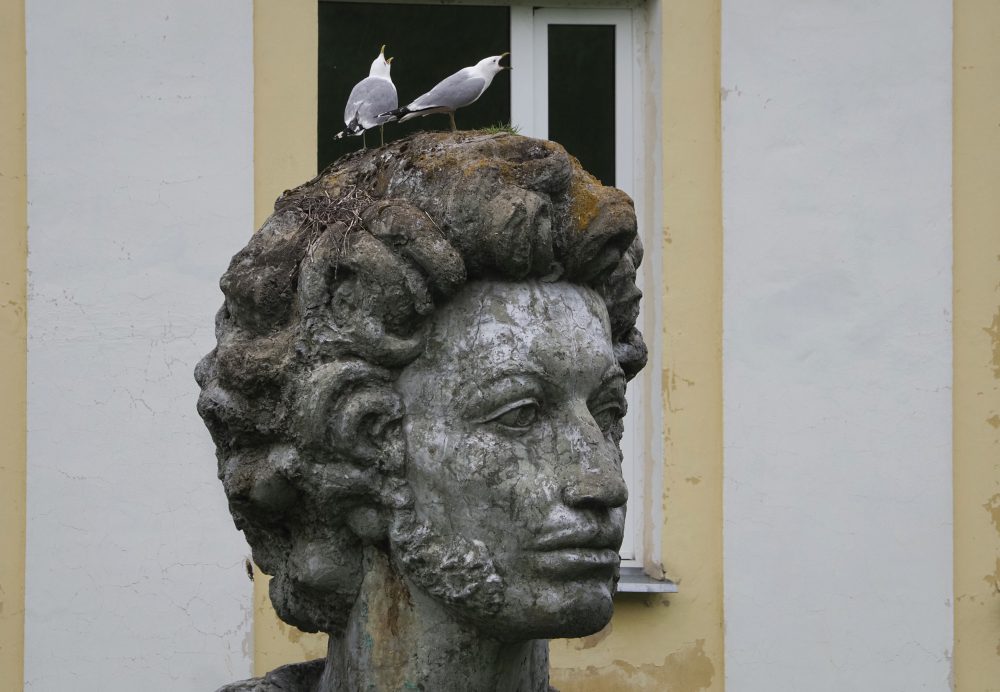 Russia_Pushkin_29307