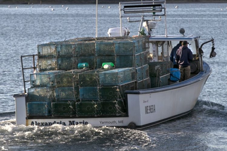 A lobster boat heads out to set traps March 14 off Portland. Wholesale prices for lobsters were lower than previous years this spring and consumers started to see lower prices at markets in June, as the industry copes with a supply chain that has been disrupted by the pandemic.