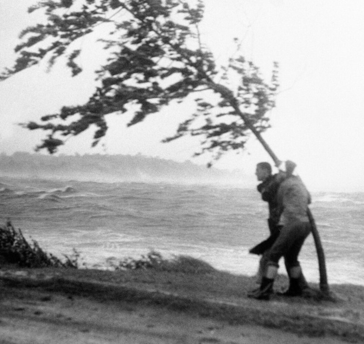 Two unidentified yachtsmen hang desperately to a tree as they watch their yacht smashed against rocks at Wollaston Beach in Quincy, Mass. on August 31, 1954.