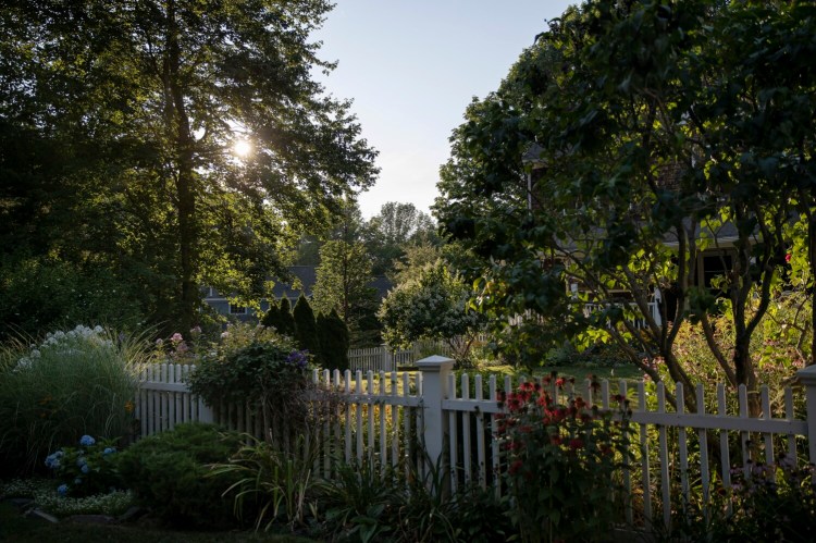 CAPE ELIZABETH, ME - AUGUST 10: Late sunlight bathes the front garden of Jessica Simpson at her home in Cape Elizabeth. Simpson, who grew up in Brooklyn, never thought she would be able to create a beautiful garden, but learned how and now is a member of the Cape Garden Club. She remembers when her father first visited her when she moved out of the city, and couldn’t believe that the gardens were hers. (Staff photo by Derek Davis/Staff Photographer)