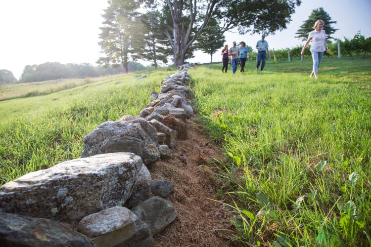 UNION, ME - JULY 20: Vistors roam the grounds of the vineyard before Graham Nash performs at Savage Oakes Vineyard. (Staff photo by Derek Davis/Staff Photographer)