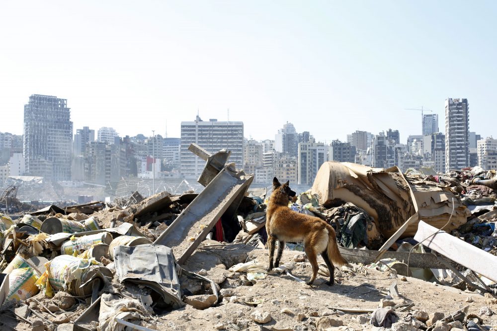 APTOPIX_Lebanon_Explosion_42293