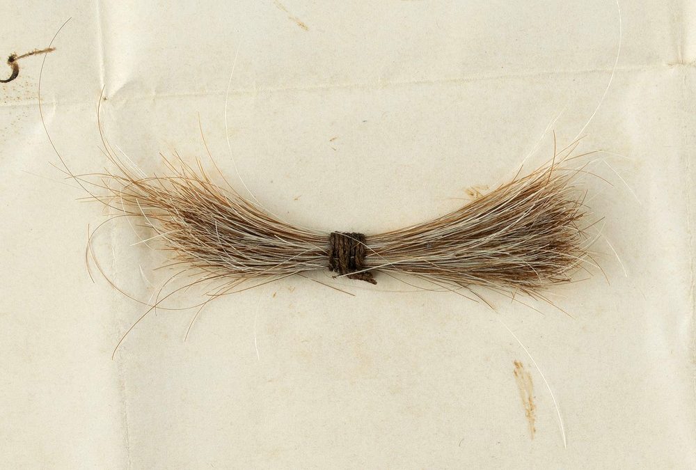 Abraham_Lincoln's_Hair_Auction_90464