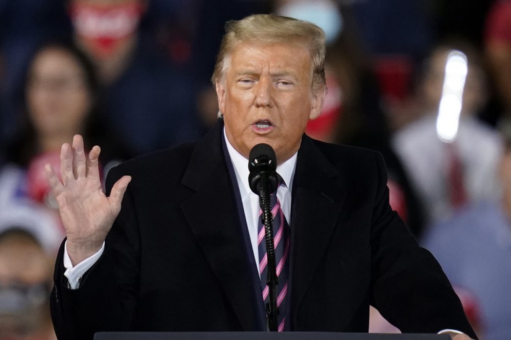 Election_2020_Trump_76165