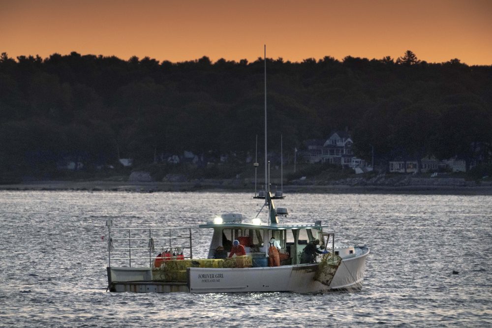 Virus_Outbreak_Maine_Lobster_32802