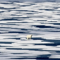 Arctic_Climate_28353