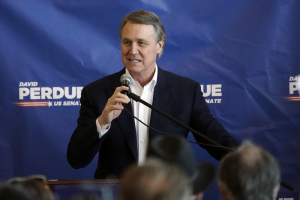 David Perdue