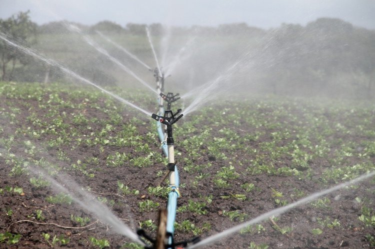 Irrigation