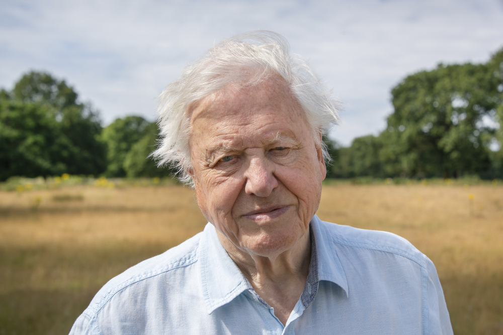 TV-David-Attenborough_83535