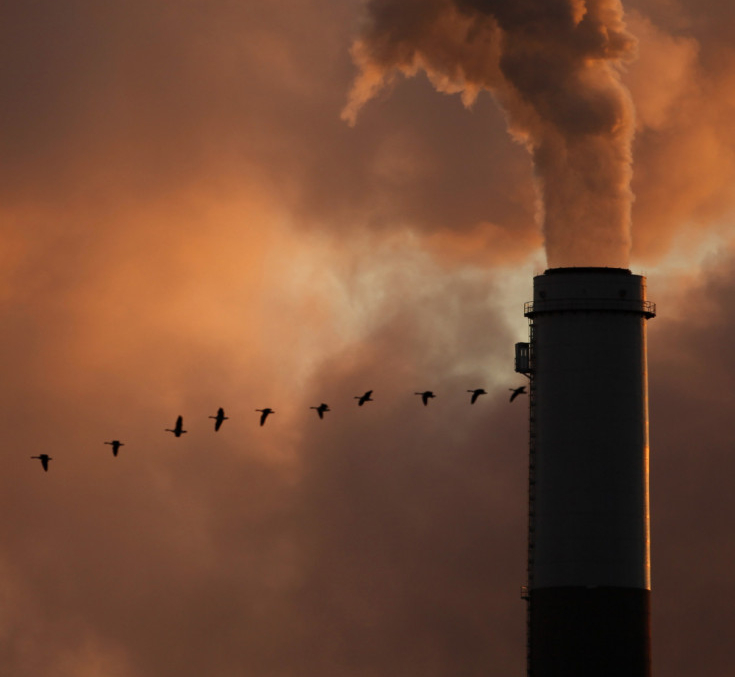 Baked_In_Warming_52769