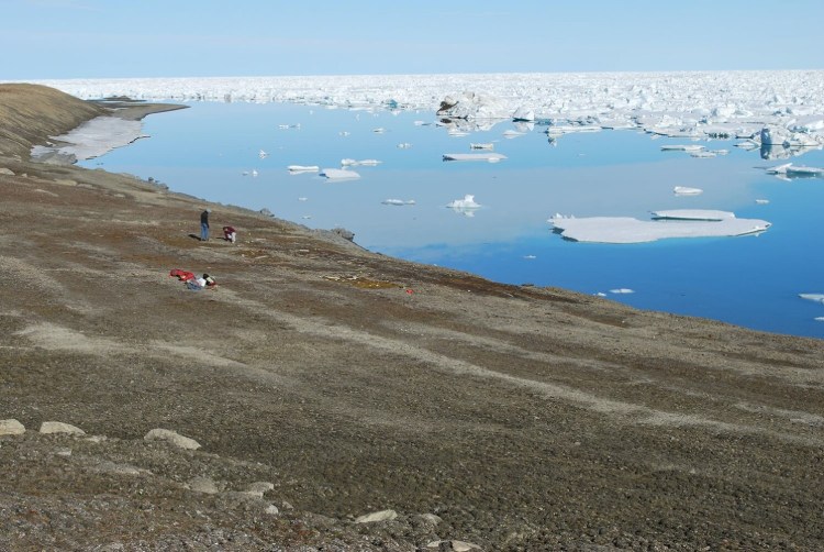 panorama of floeberg beach north, taken from the south facing East