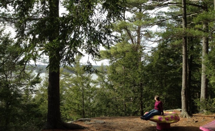 Kennebec Estuary Land Trust to welcome mindfulness teacher Tim Blair of The Mindful Nonprofit for an introduction to mindfulness in nature on Thursday, Feb. 25 at 6 p.m. Register in order to receive a Zoom link at www.kennebecestuary.org.