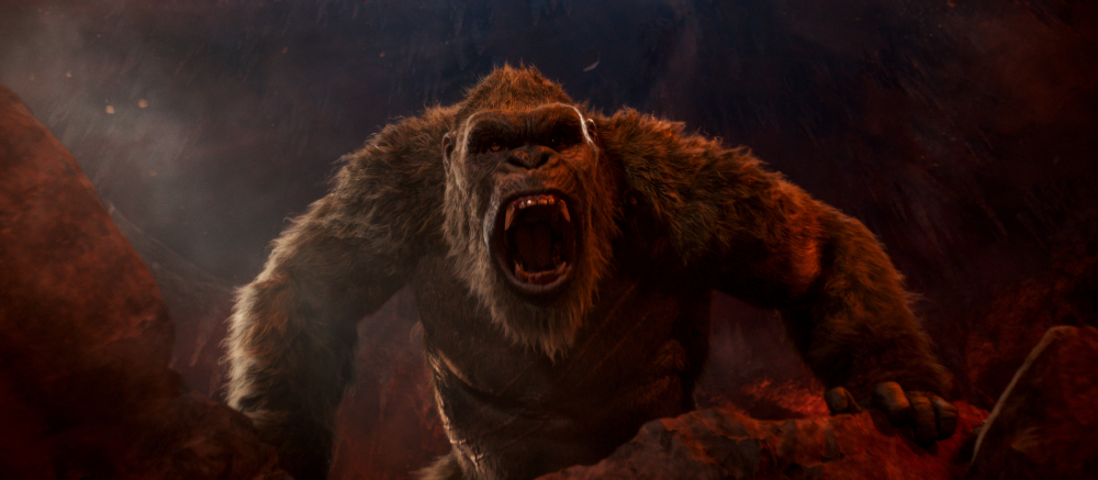 Film_-_Godzilla_vs_Kong_27084