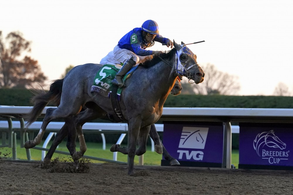 Kentucky_Derby_Gray_Horses_10091