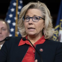 Steve Scalise, Liz Cheney