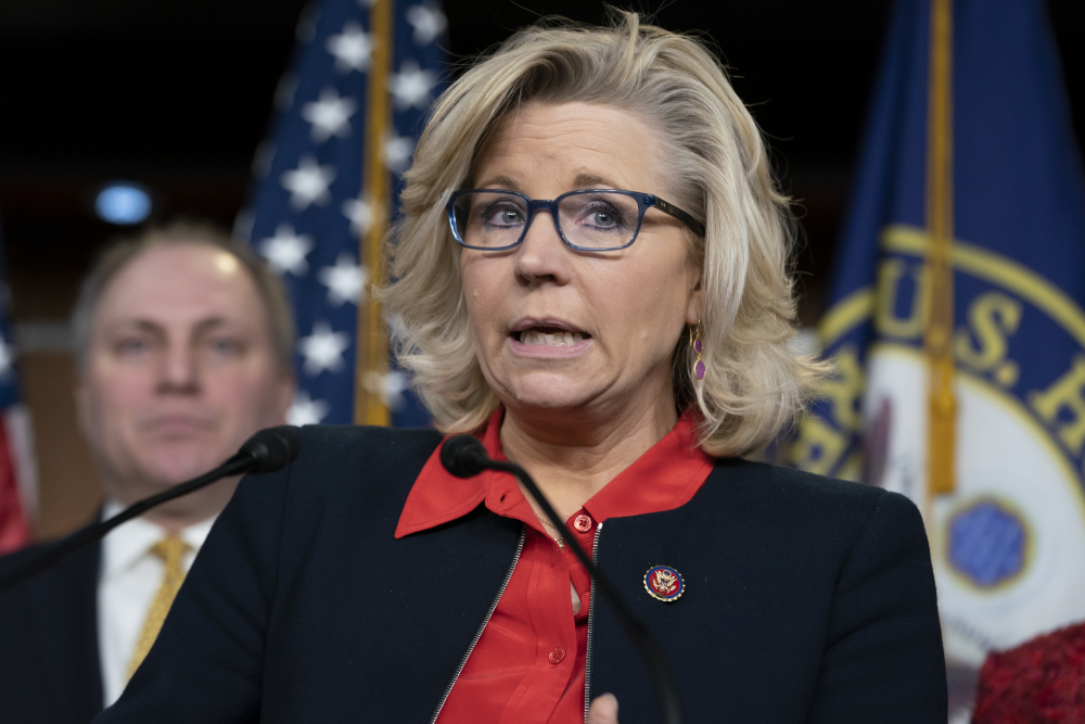 Steve Scalise, Liz Cheney