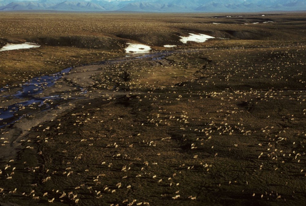 Artic_Refuge_Drilling_02186