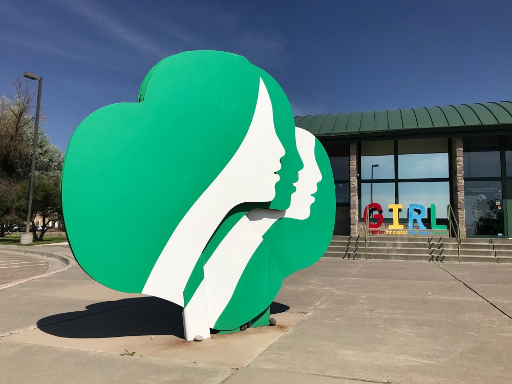 Girl_Scouts_Unsold_Cookies_62877