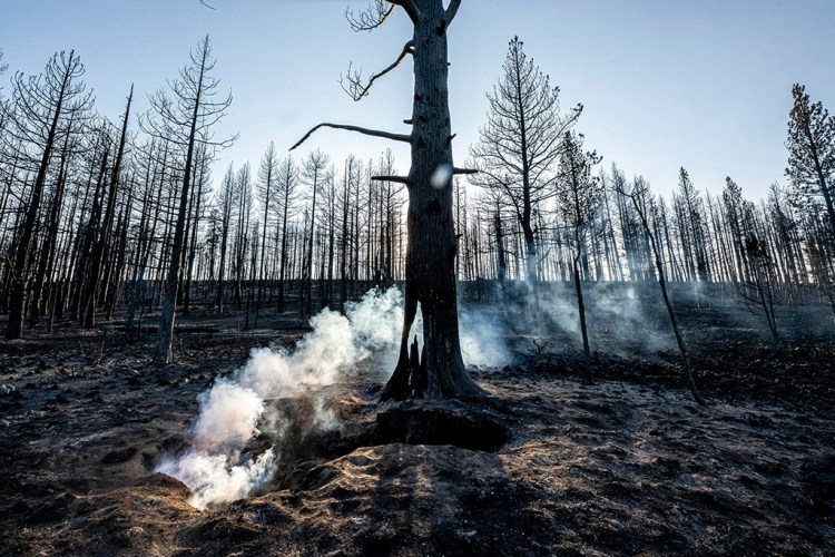 Spot fires smolder near trees damaged by the Bootleg Fire on Wednesday in Bly, Ore.