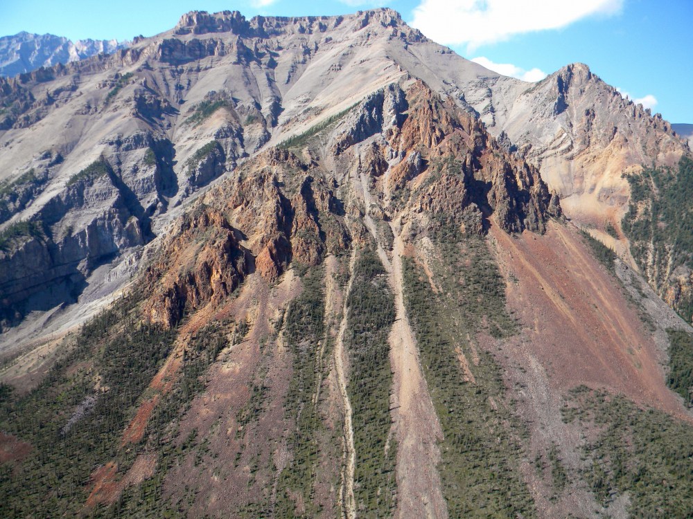 Earliest Animal Fossil
